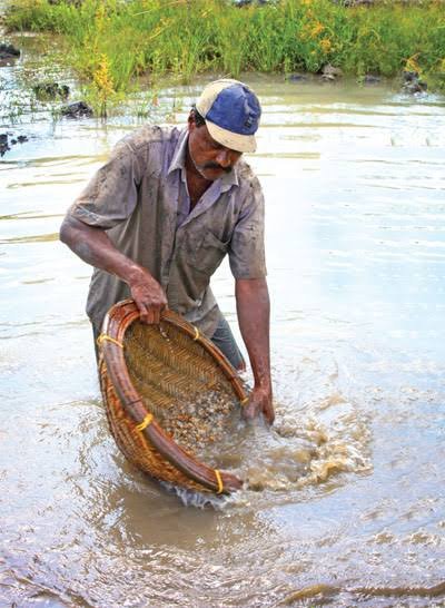 A miner sieving gravel for gemstones in a river